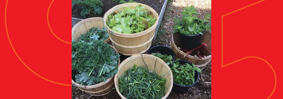 LOFT-6320-06 Blog Header – youth giving back v2 – 1136×400